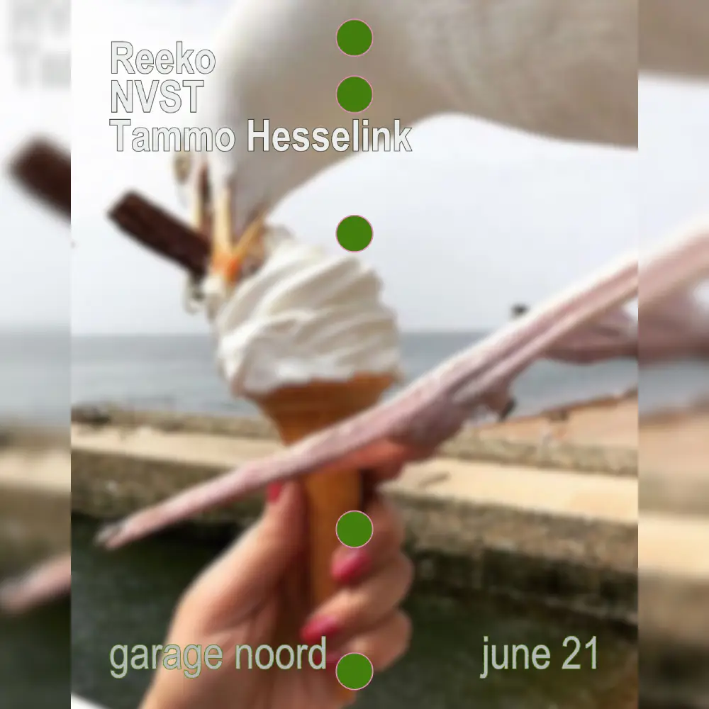 Reeko, NVST, Tammo Hesselink